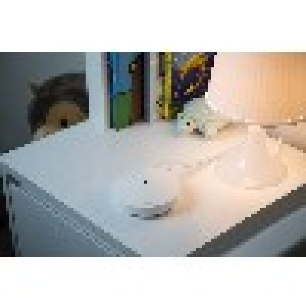 Deco M5(1-pack)  TP-LINK Deco M5 1300 Mbit/s Weiß